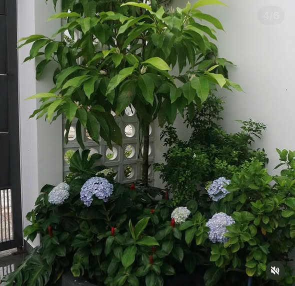 Modern New House in Hoa Xuan, Ready to Move In β photo 4