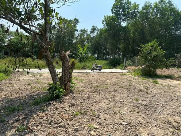 Spacious Residential Land Plot For Sale in Hoa Khương — photo 3