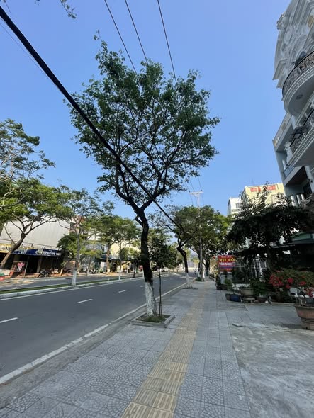 Prime Double Frontage Land Plot in Son Tra for Sale — photo 4