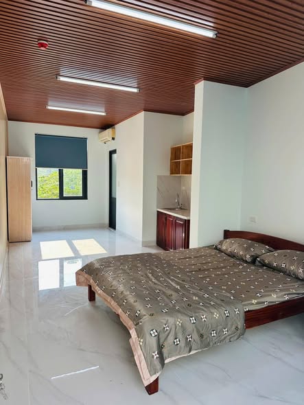 Brand New Studio Apartment in Hai Chau City Center — photo 2