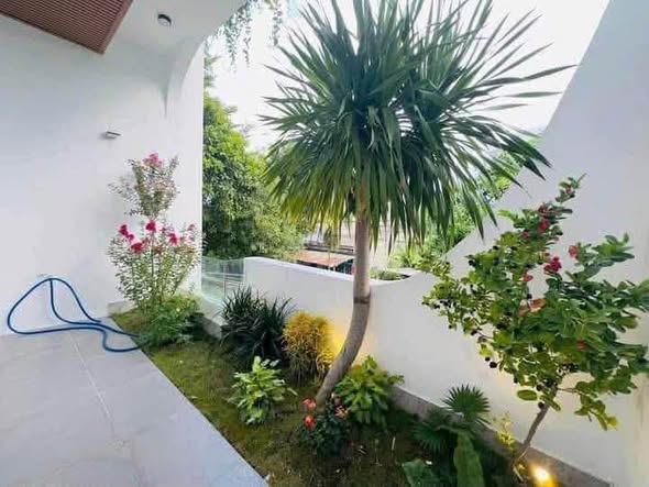 Rare Thanh Khe Mini Villa with Two Fronts for Sale — photo 4