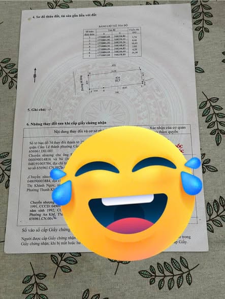 Cam Le District Land Parcel for Sale in Quiet Alley — photo 3