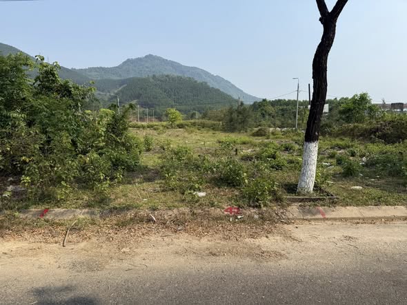 Affordable Land in Hoà Ninh for Sale — photo 3