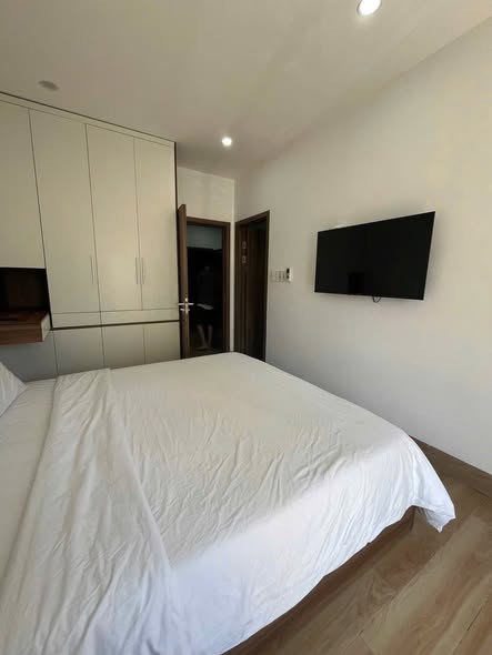 1-bedroom Apartment for rent in Son Tra Da Nang — photo 4