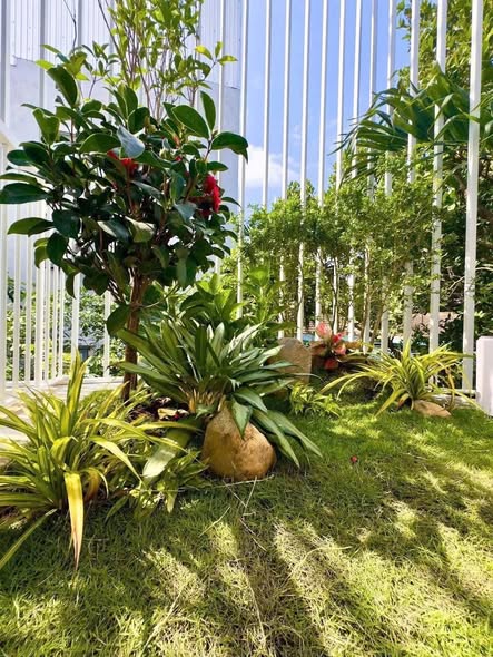 3-bedroom House for rent in Cam Le Da Nang — photo 5