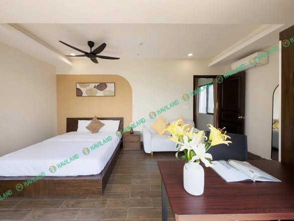 1-bedroom Apartment for rent in Hai Chau Da Nang — photo 4