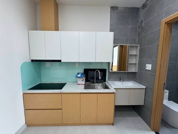 1-bedroom Apartment for rent in Son Tra Da Nang — photo 4