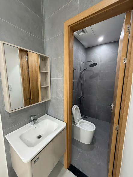 1-bedroom Apartment for rent in Son Tra Da Nang — photo 4