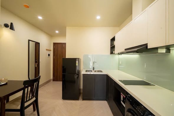 1-bedroom Apartment for rent in Son Tra Da Nang — photo 4