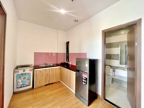 1-bedroom Apartment for rent in Son Tra Da Nang — photo 3