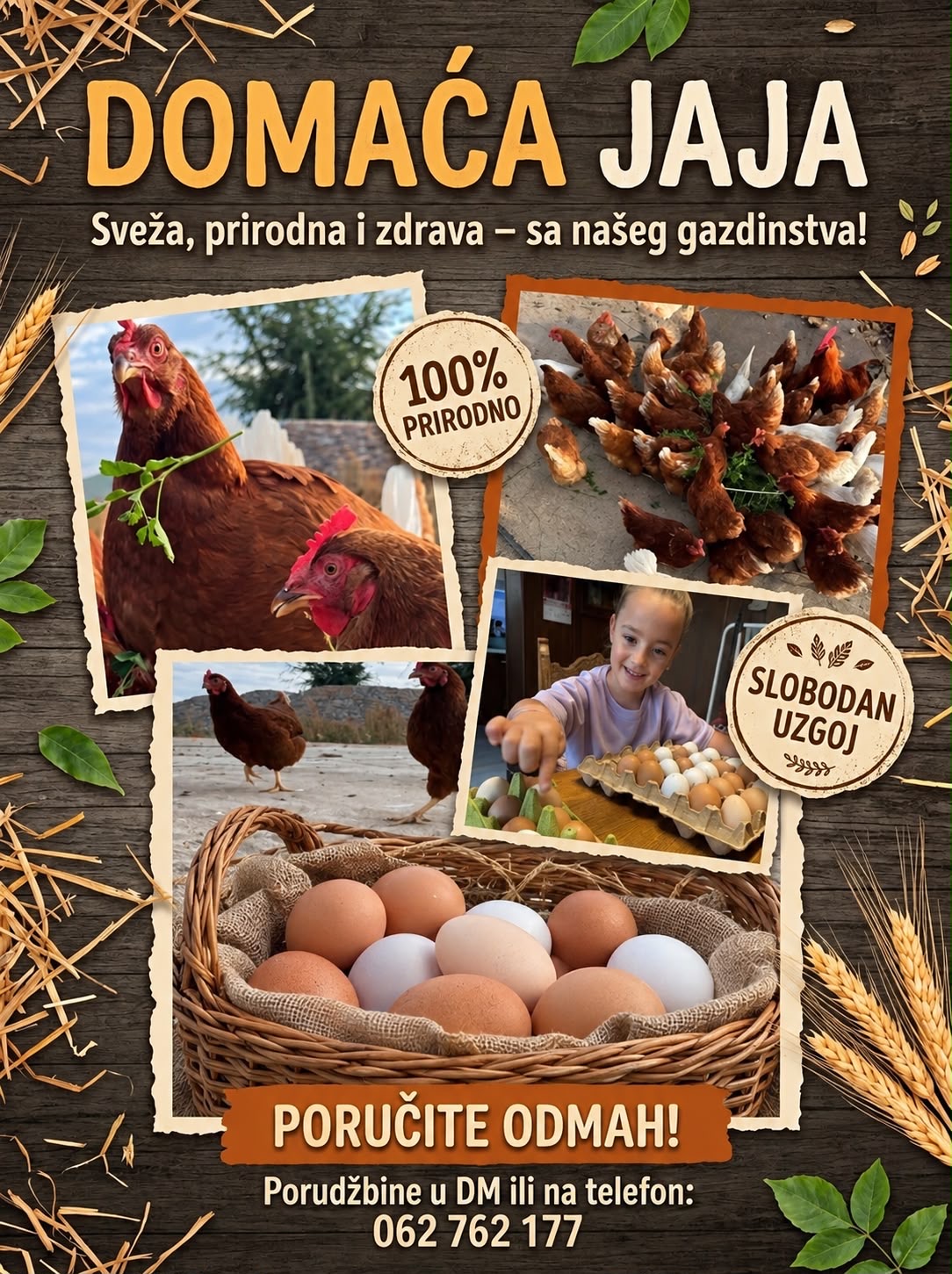 Lazar Ćalić – Novi Karlovci
