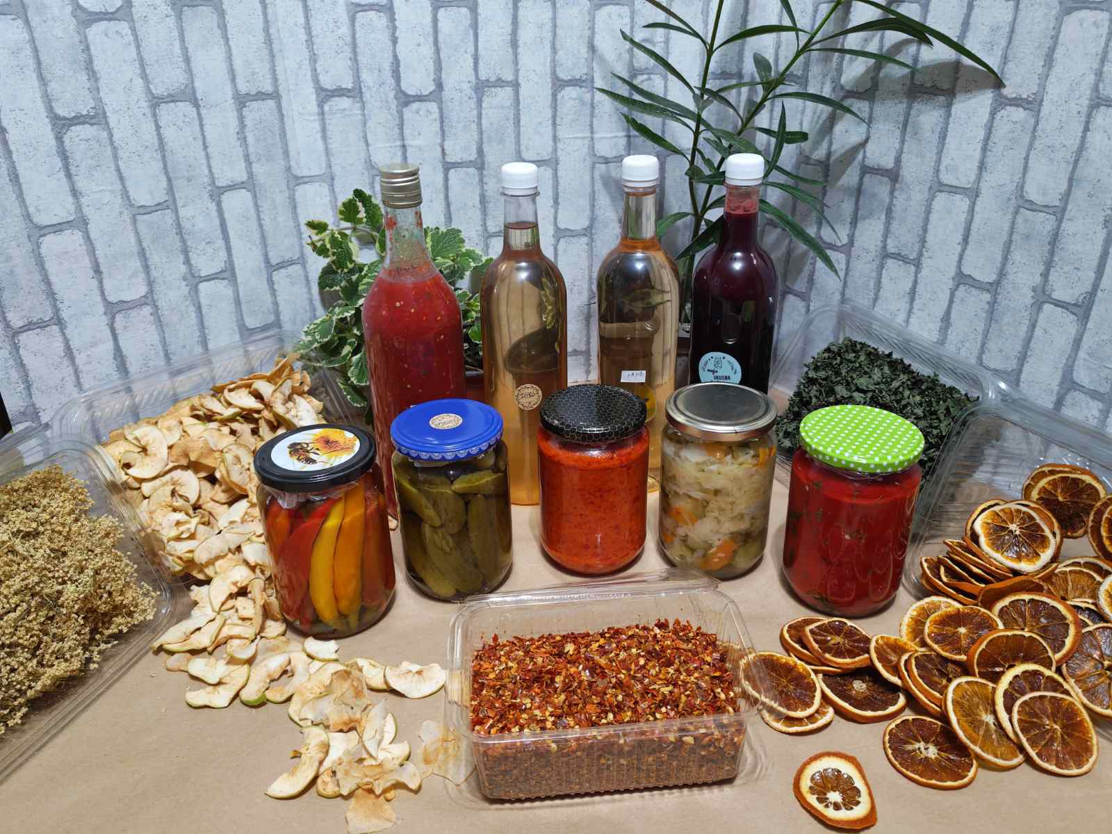 Slavica Jankov – Pećinci