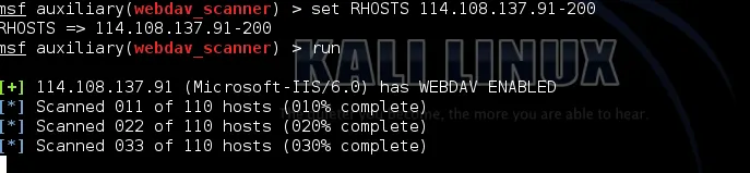 Scan Results
