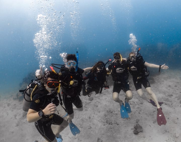 Next.js Conf photo