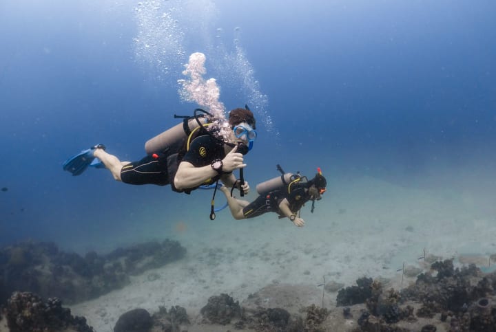 Next.js Conf photo
