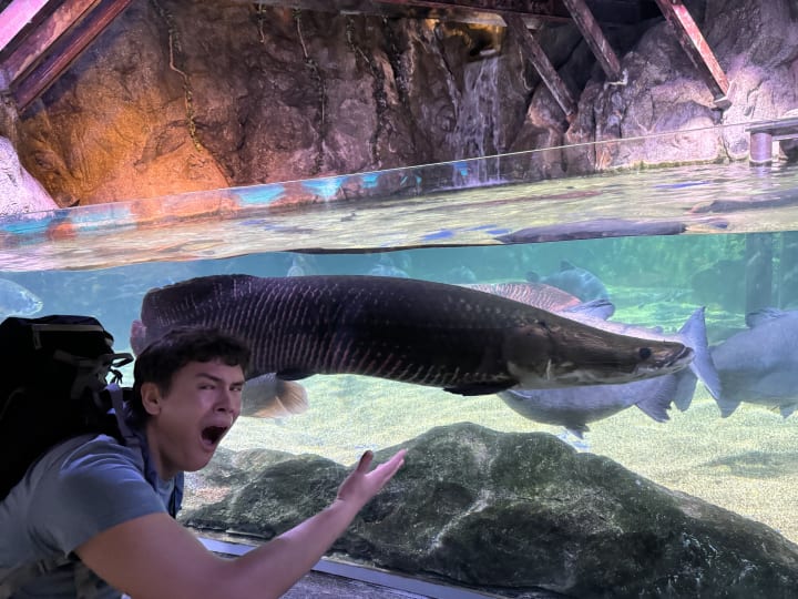 Next.js Conf photo