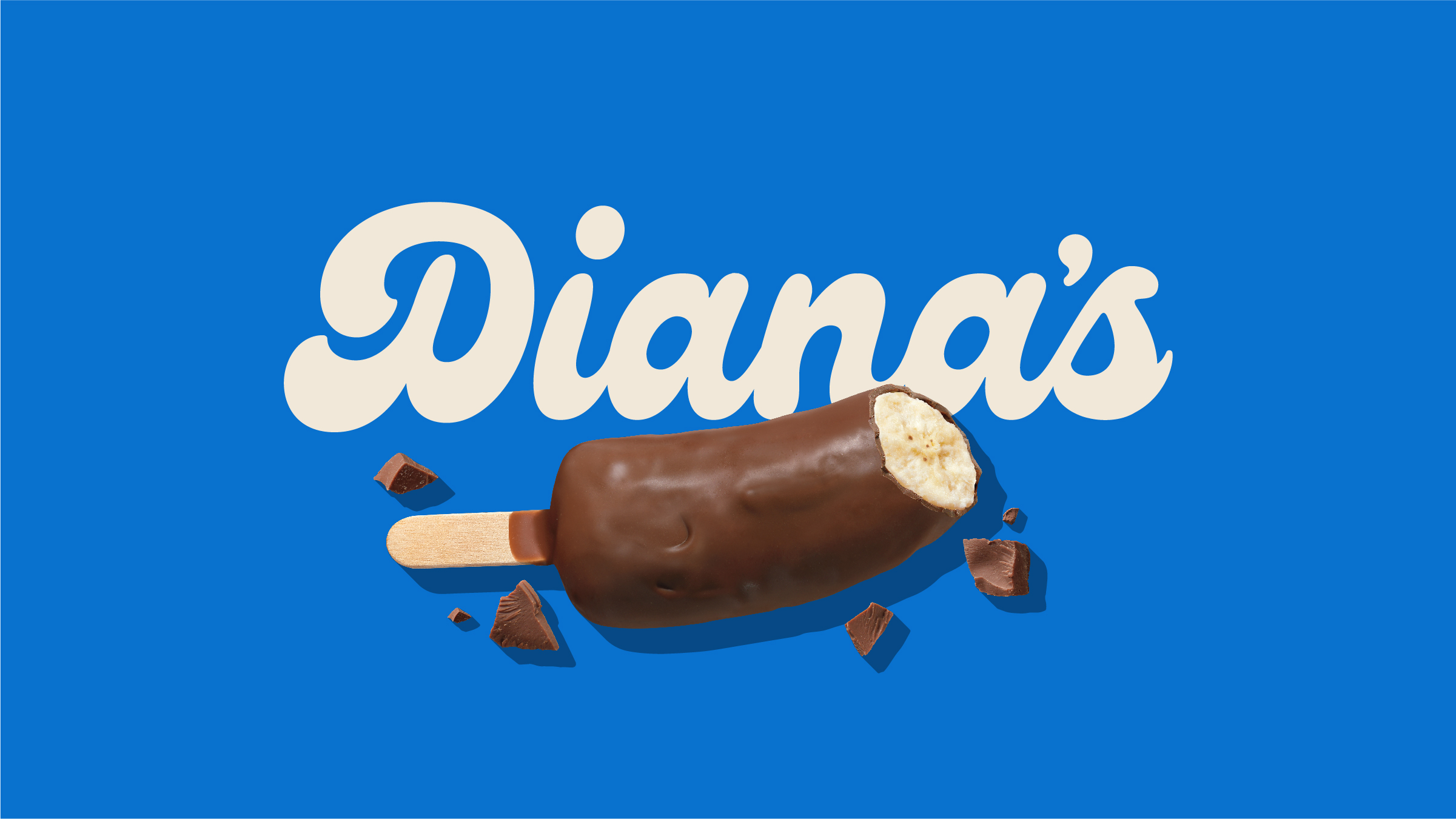 Dianas_CaseStudy_2023_V1_HERO_