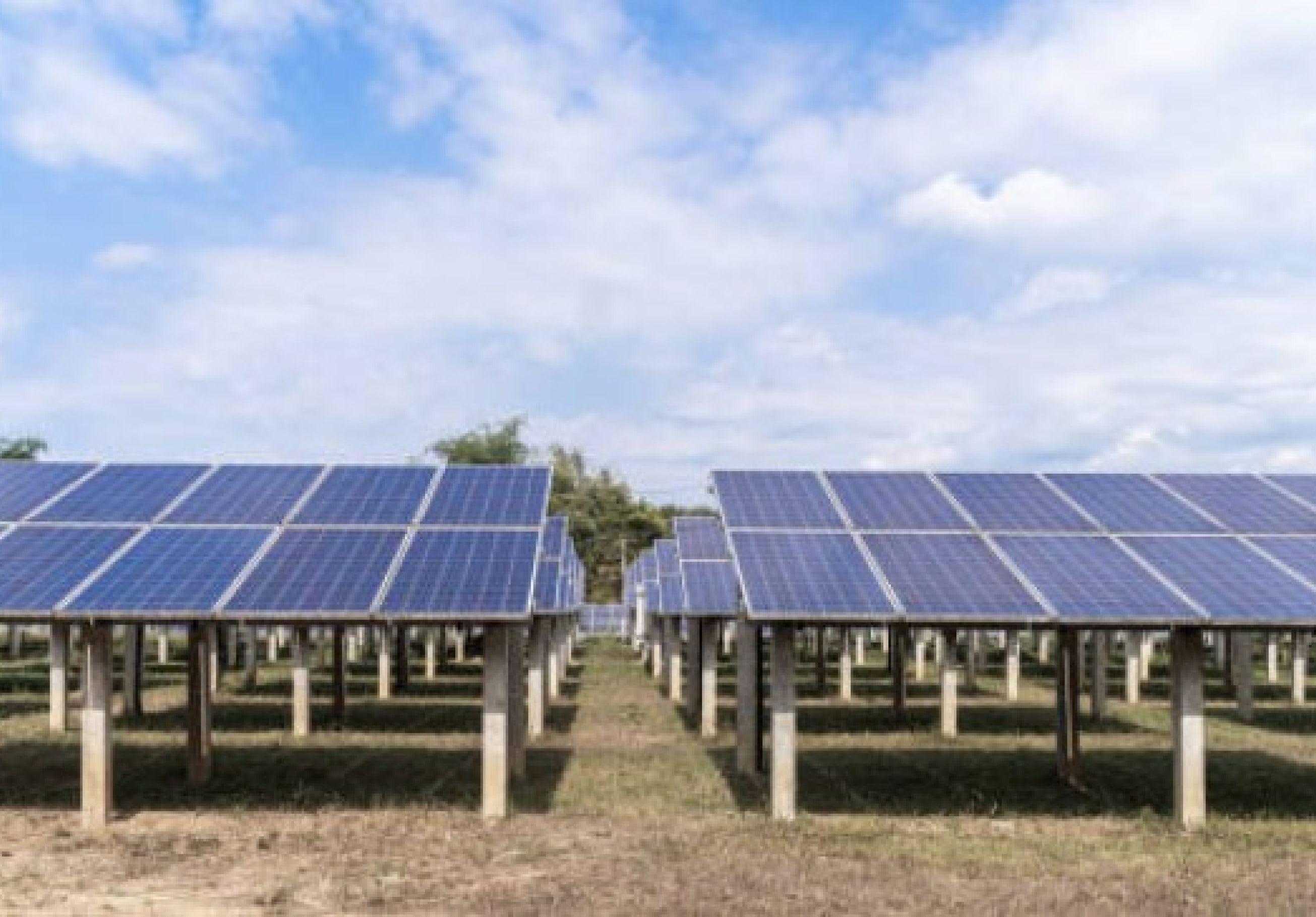 A field of solar panels