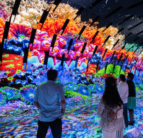Guests looking at multicolored Blue Paradox wall display 