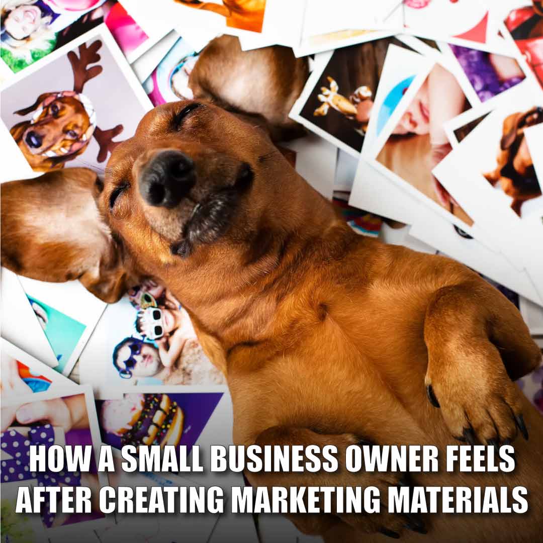 dog laying on a pile of pictures with text "How a small business owner feels after creating marketing materials"