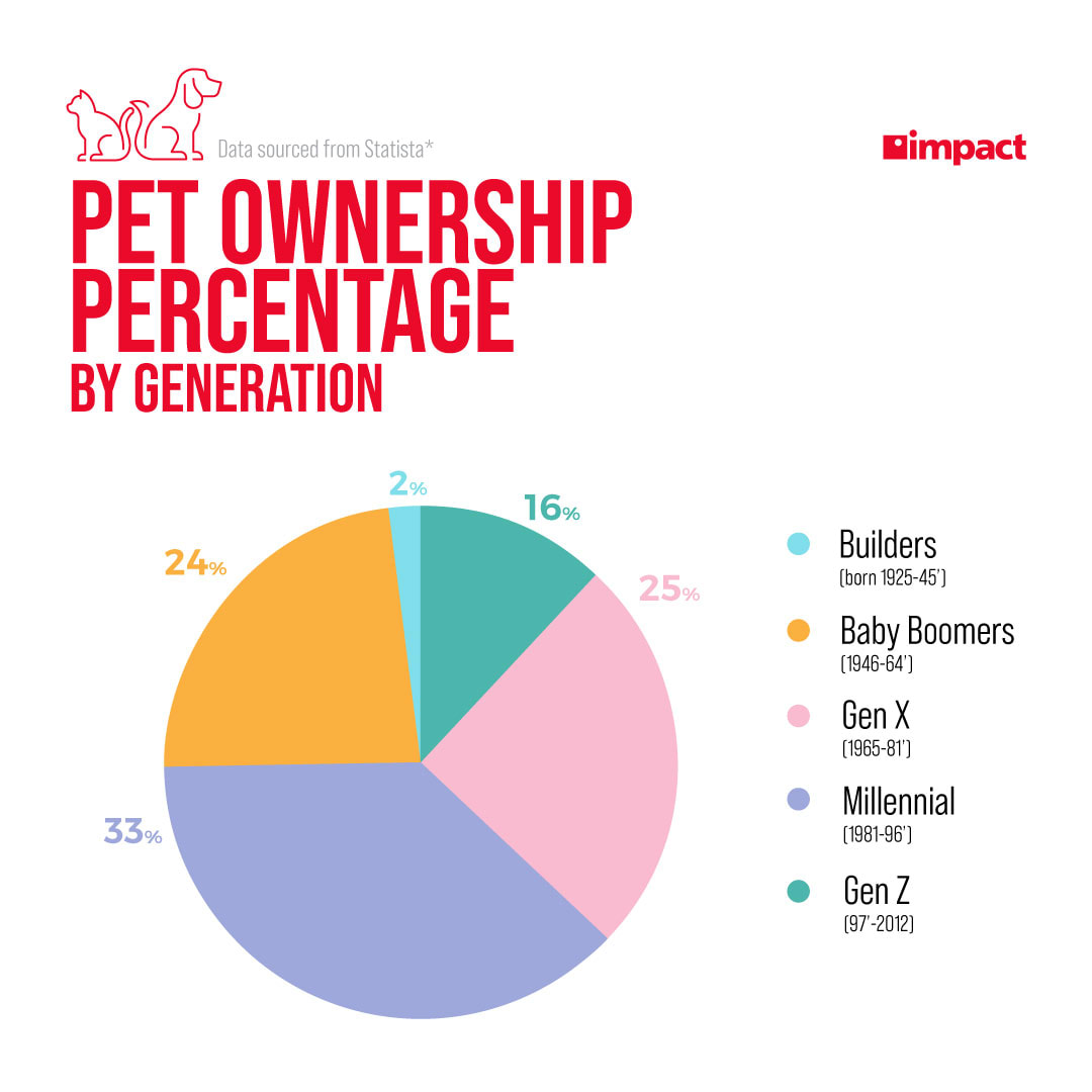 How to use excel for business analysis blog Data 1 | colored pie chart displaying pet ownership percentage by generation