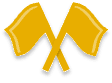 Crossed Flags icon