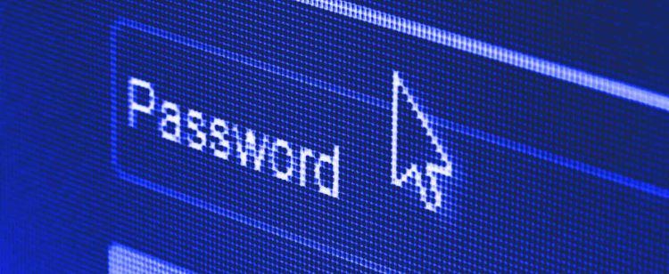 Image of a search bar with password written in it and a mouse cursor hovering near| What You Need to Know About Key Management in Network Security