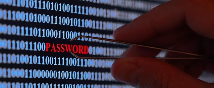 RedLine Malware: What You Need to Know | Close-up image of person with tweezers approaching a computer screen with "password" in red
