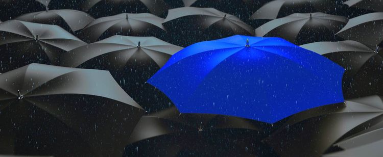 black umbrellas and a blue one in the middle