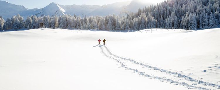 Two people walking on a large field of snow leave a long trail of footprints behind them. Why Do Websites Use Cookies? All About Cookies | DOT Security