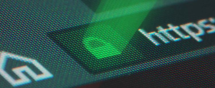 The padlock icon indicative of an SSL secured website