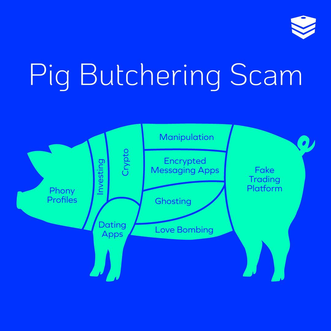 An outline of a pig carved as a meat butcher would, but with components of the pig butchering scam.