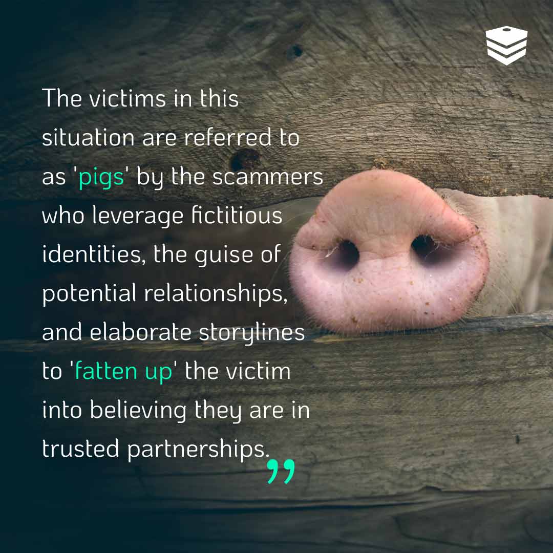 Snout of a pig sticking through a wooden fence with a quote overlayed.