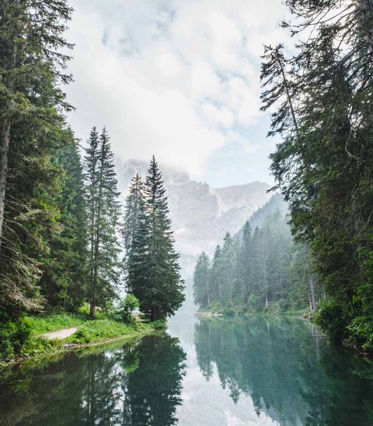 Reflective pond in a tall pine and mountain environment