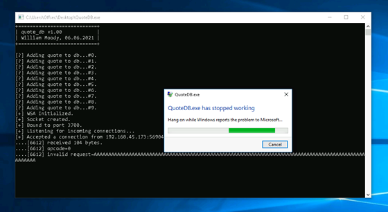 Screenshot of the application crashing