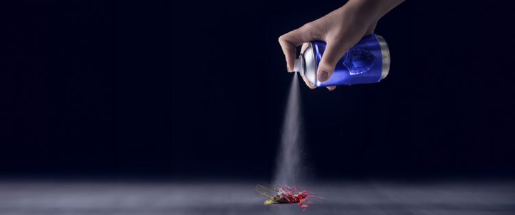 A bug being sprayed with a repellent