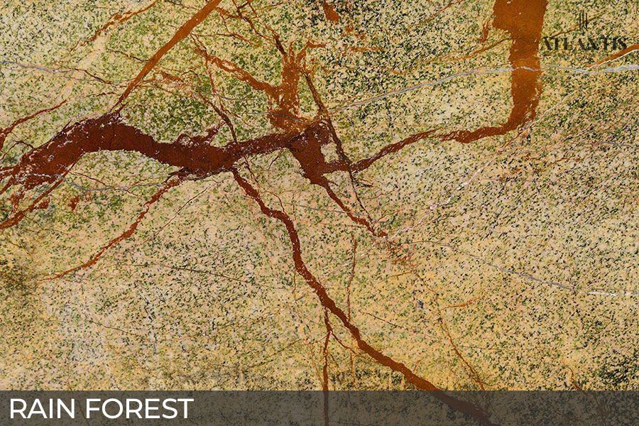 MSI Marble Stone Slab rain forest