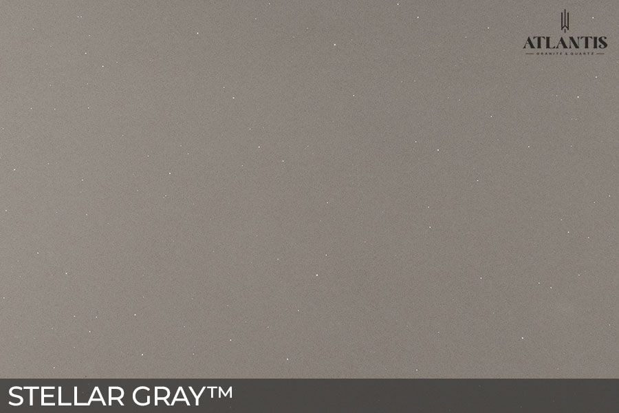 MSI Quartz Stone Slab stellar gray