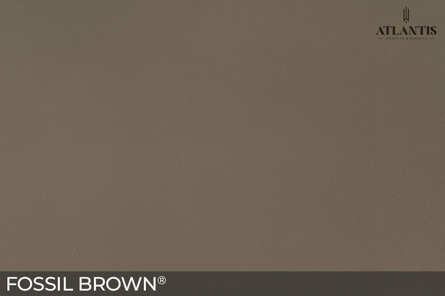 MSI Quartz Stone Slab fossil brown