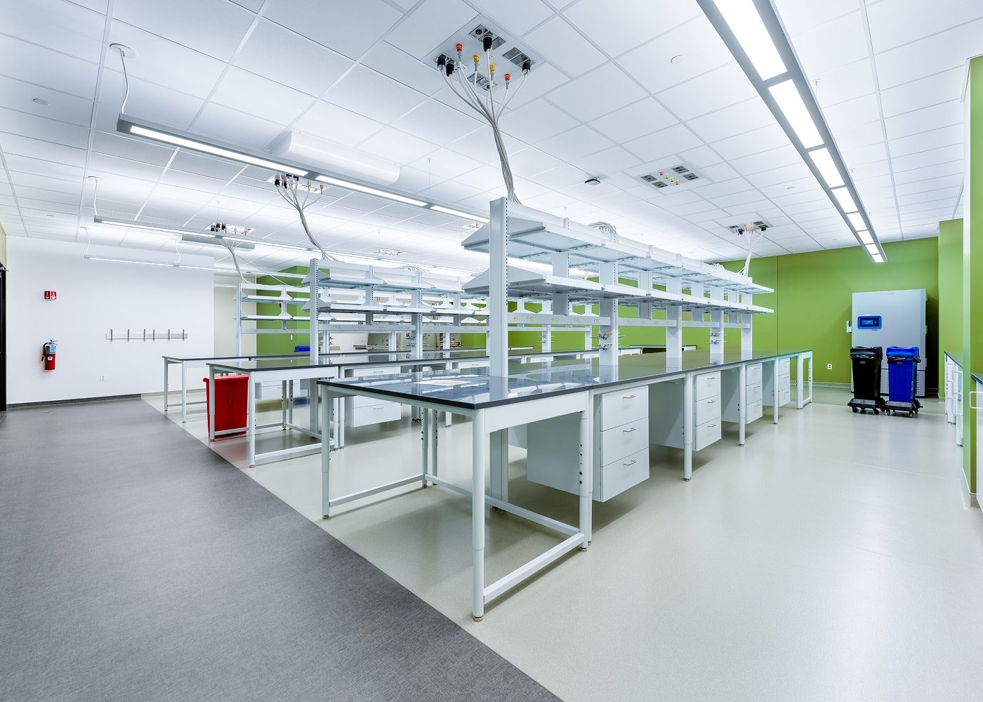 Large laboratory with green walls, various tables, a sink, cabinets and long, linear lights.