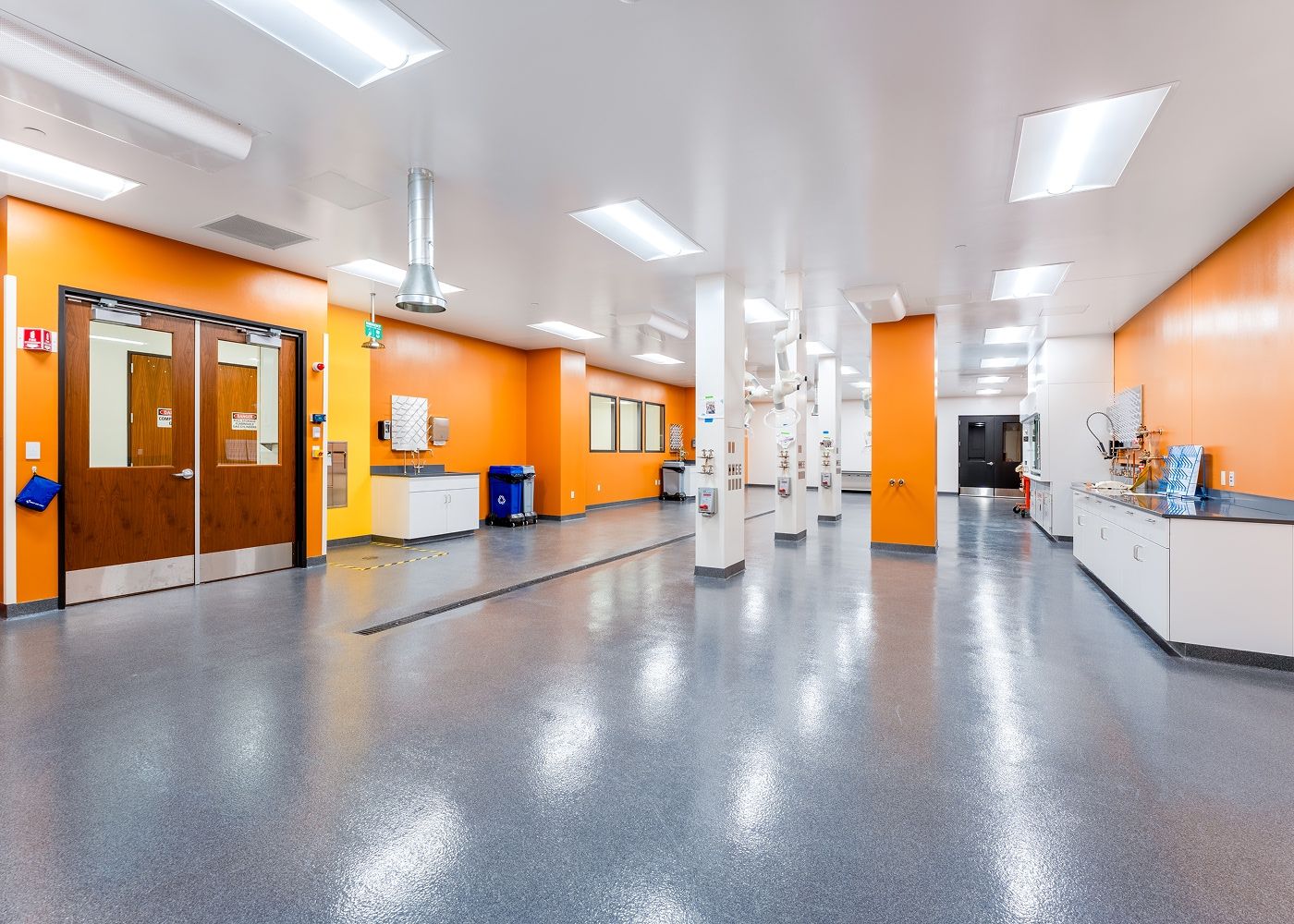 Bright lit room with a long orange wall, laboratory equipment, waste containers and countertops and sinks.
