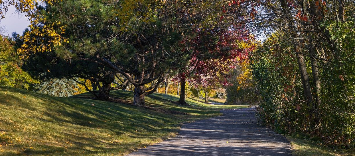 Nature trail at Geneva National Community
