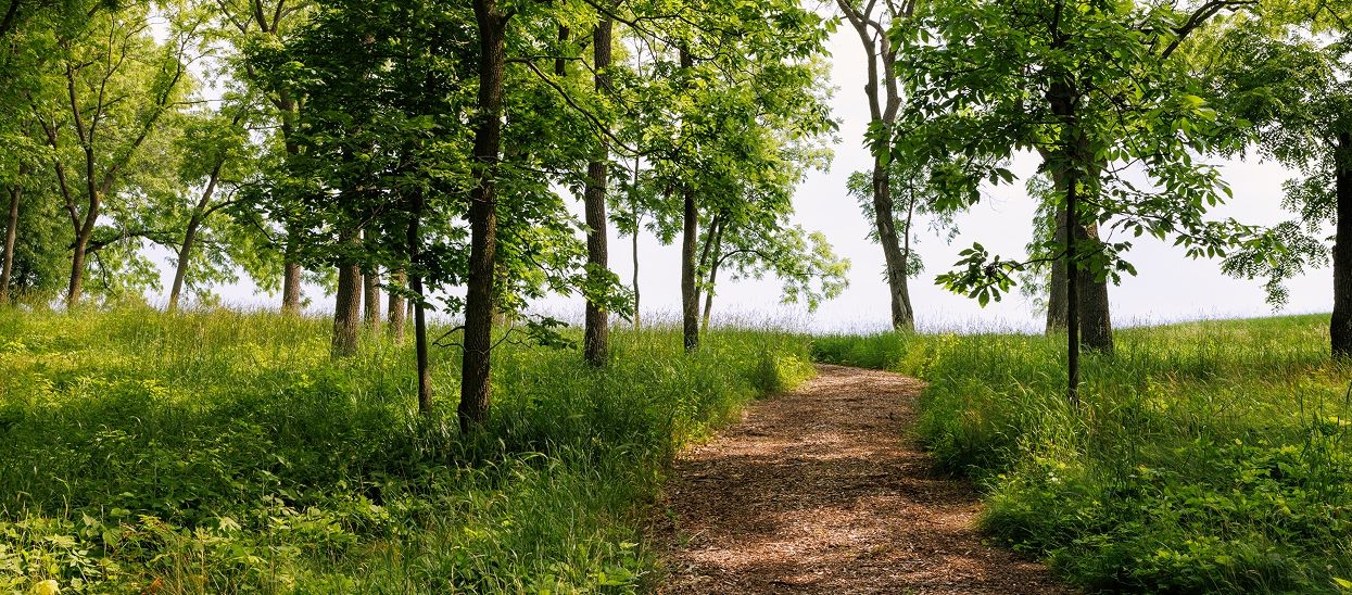 Nature trail at Geneva National Community