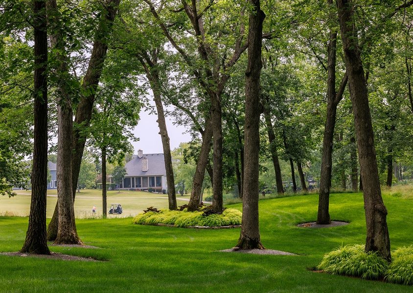 Trees in a park with green grass at Geneva National Community