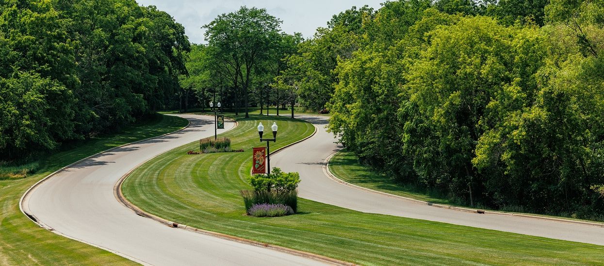 winding road entrance with green trees and grass