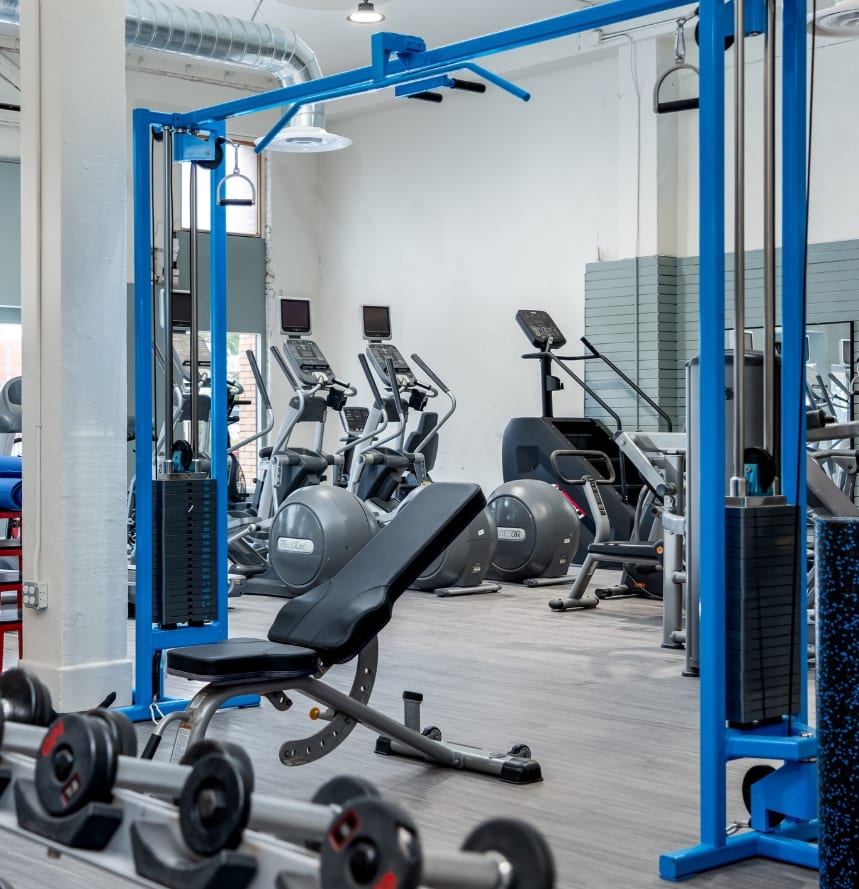 Soft dawn light streams through expansive industrial windows across a concrete gym floor, illuminating a foreground of iron dumbbells while a solitary figure performs a weightlifting set in the serene, minimalist background.