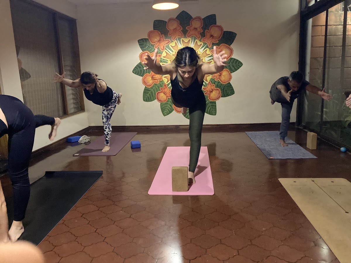 Clase de yoga con luz natural