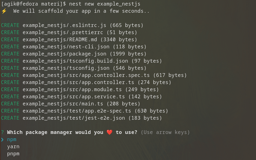 Berkenalan dengan NestJS dan cara install NestJS