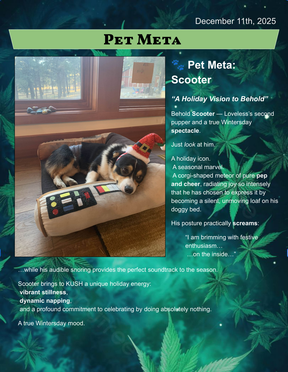Leaflet page 6