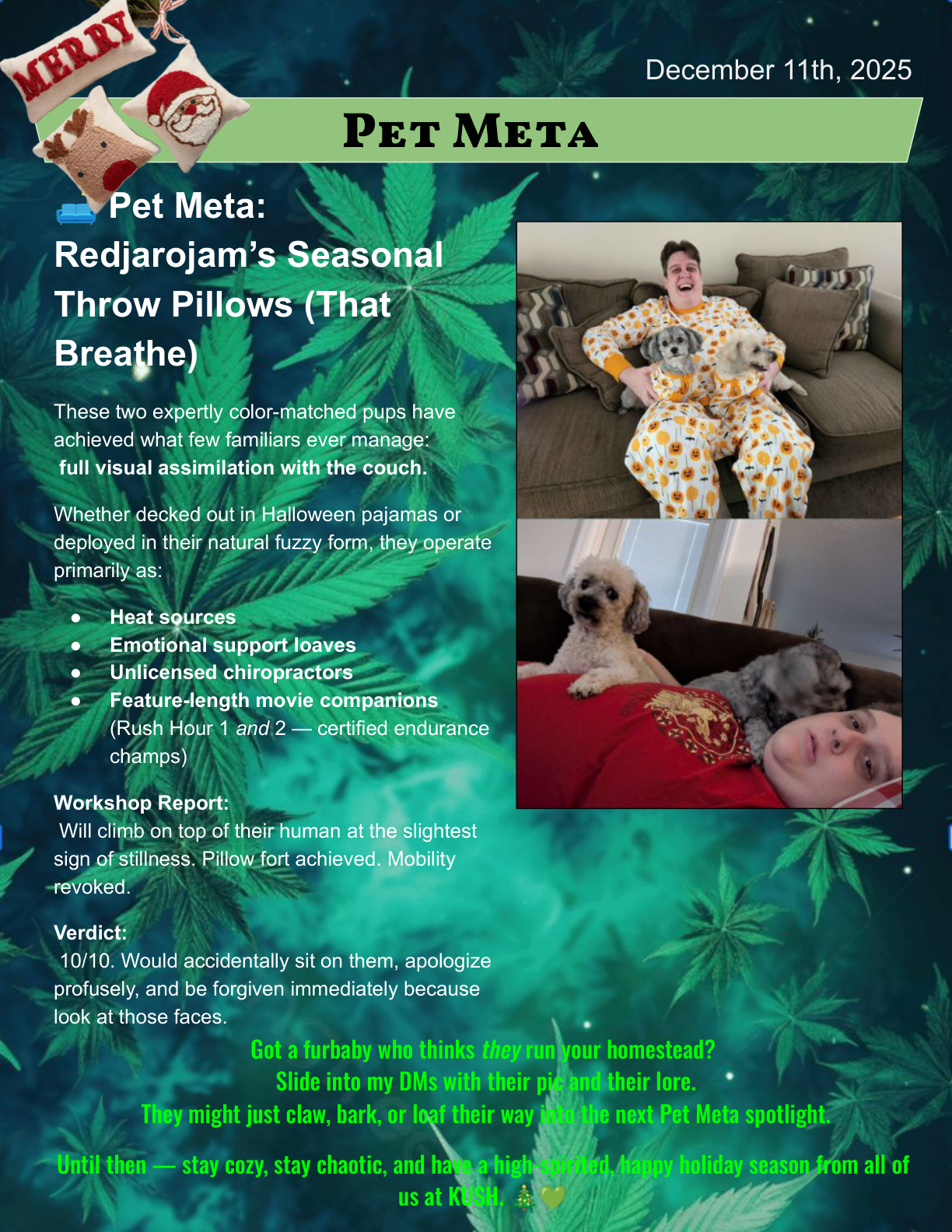Leaflet page 9
